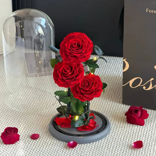 LULU ROSÉE Triple Red Preserved Rose Glass Dome with LED Lights, Beauty and the Beast Enchanted Rose Arrangement