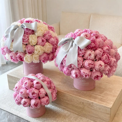 Three round flower bouquets of pink peonies in pink and cream tones, tied with white ribbons and displayed in pink cylindrical boxes on a wooden bench in a living room setting