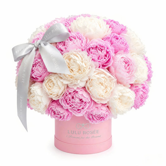 LULU ROSÉE Dual Tone Cherry Cream Peony Round Box, product shot on pure white background, preserved everlasting peony, long‑lasting for years, no maintenance required