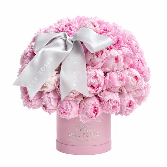 LULU ROSÉE Milky Pink Blush Peony Round Box, product shot on pure white background, preserved everlasting peony, long‑lasting for years, no maintenance required