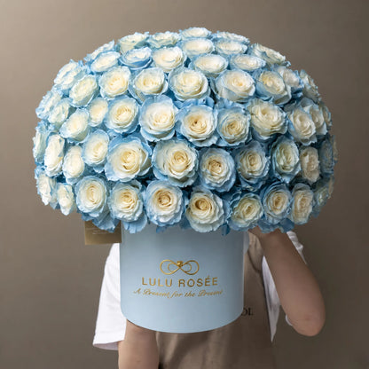 LULU ROSÉE Grande Superdome Ice Blue Gradient Preserved Rose Box held by model, large dome ice blue preserved rose cylinder box, elegant thoughtful gift for her