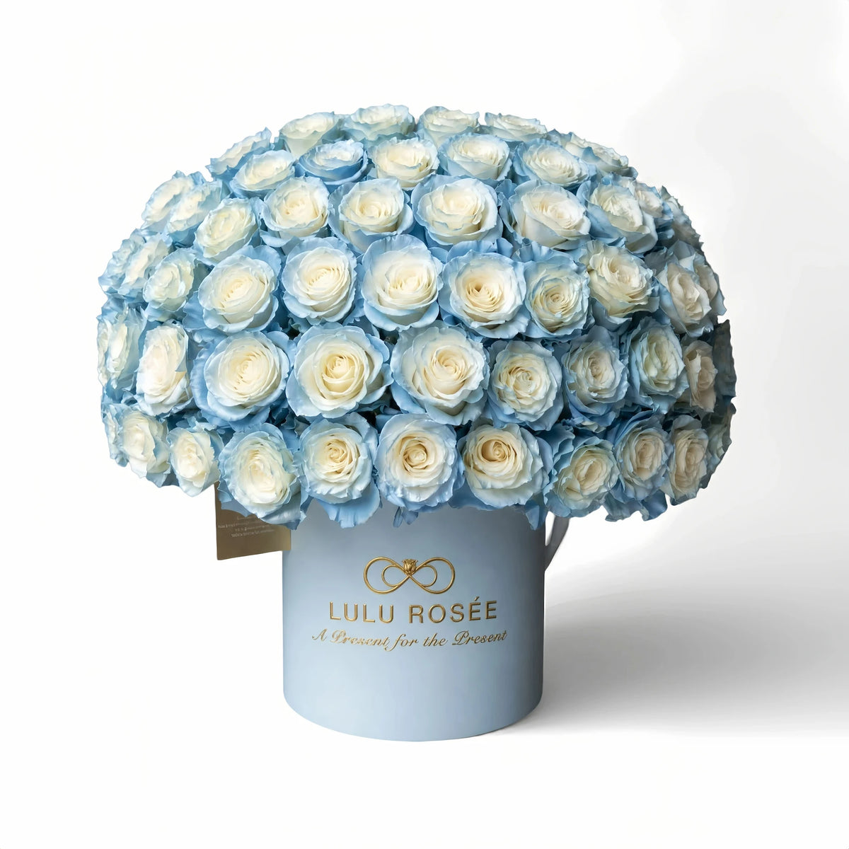 LULU ROSÉE Grande Superdome Ice Blue Gradient Preserved Rose Box isolated on plain white background, dome-shaped everlasting ice blue gradient rose gift box