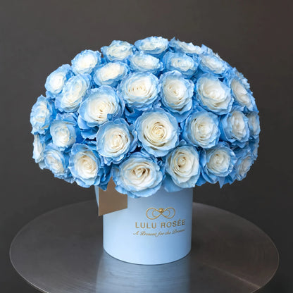 LULU ROSÉE Grande Superdome Ice Blue Gradient Preserved Rose Box, angled overhead shot of lush dome-shaped ice blue gradient preserved roses in light blue cylinder box