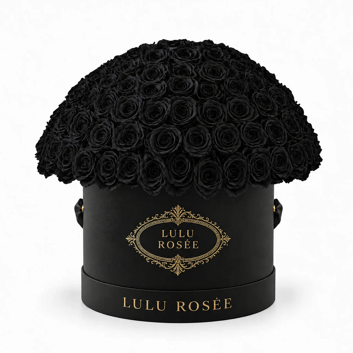 Black preserved roses forming a dome in a black LULU ROSÉE Large Le Plein box.