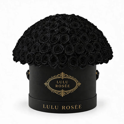 Black preserved roses forming a dome in a black LULU ROSÉE Large Le Plein box.