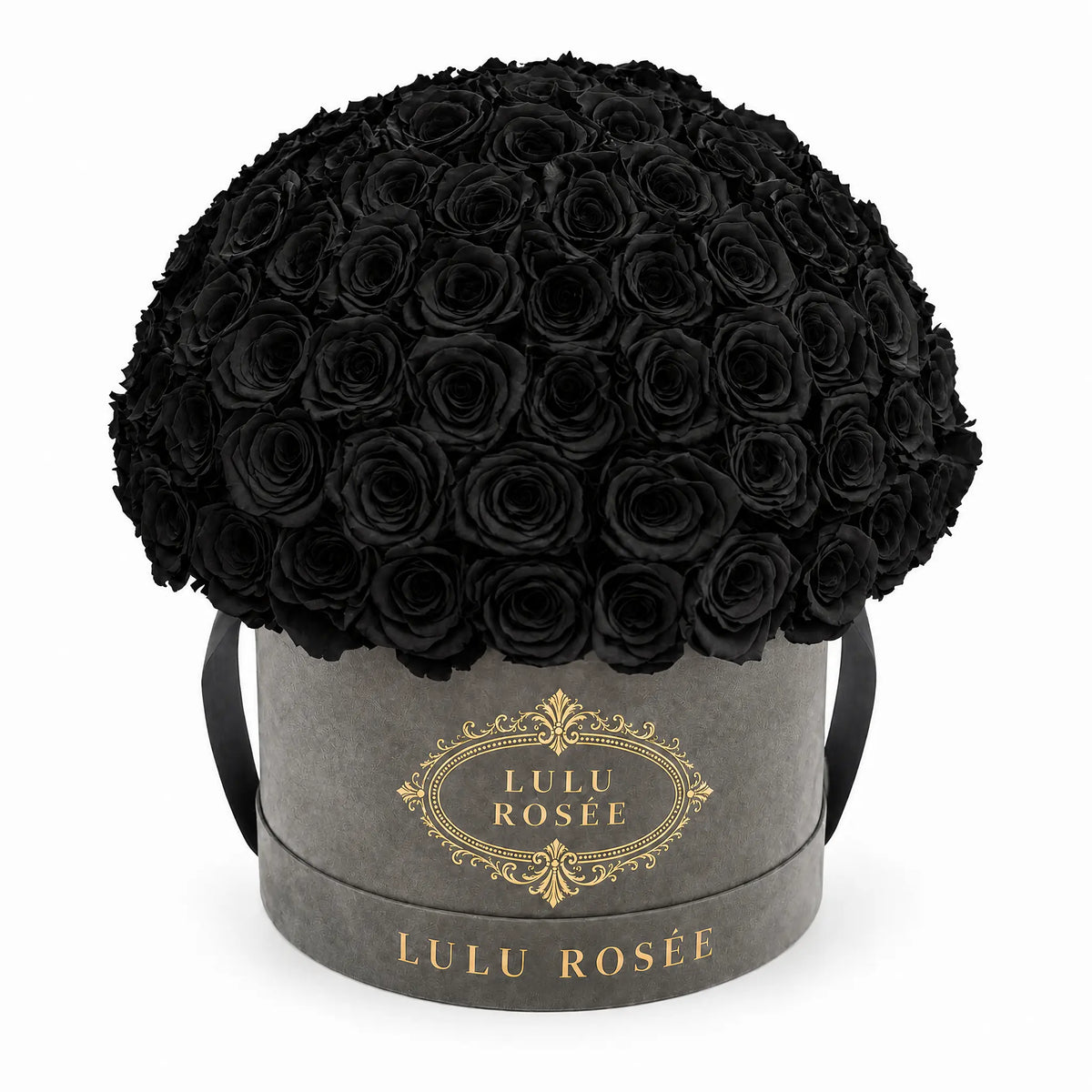 Black preserved roses in a black LULU ROSÉE Large Le Plein box on a white background.