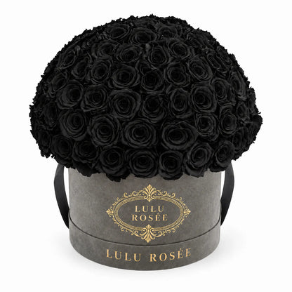 Black preserved roses in a black LULU ROSÉE Large Le Plein box on a white background.