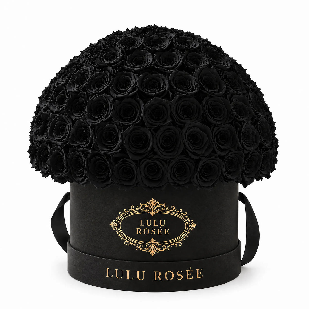 Black preserved roses arranged in a black LULU ROSÉE Large Le Plein gift box.