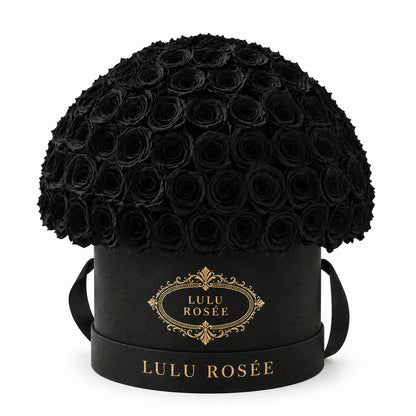 Black preserved roses arranged in a black LULU ROSÉE Large Le Plein gift box.