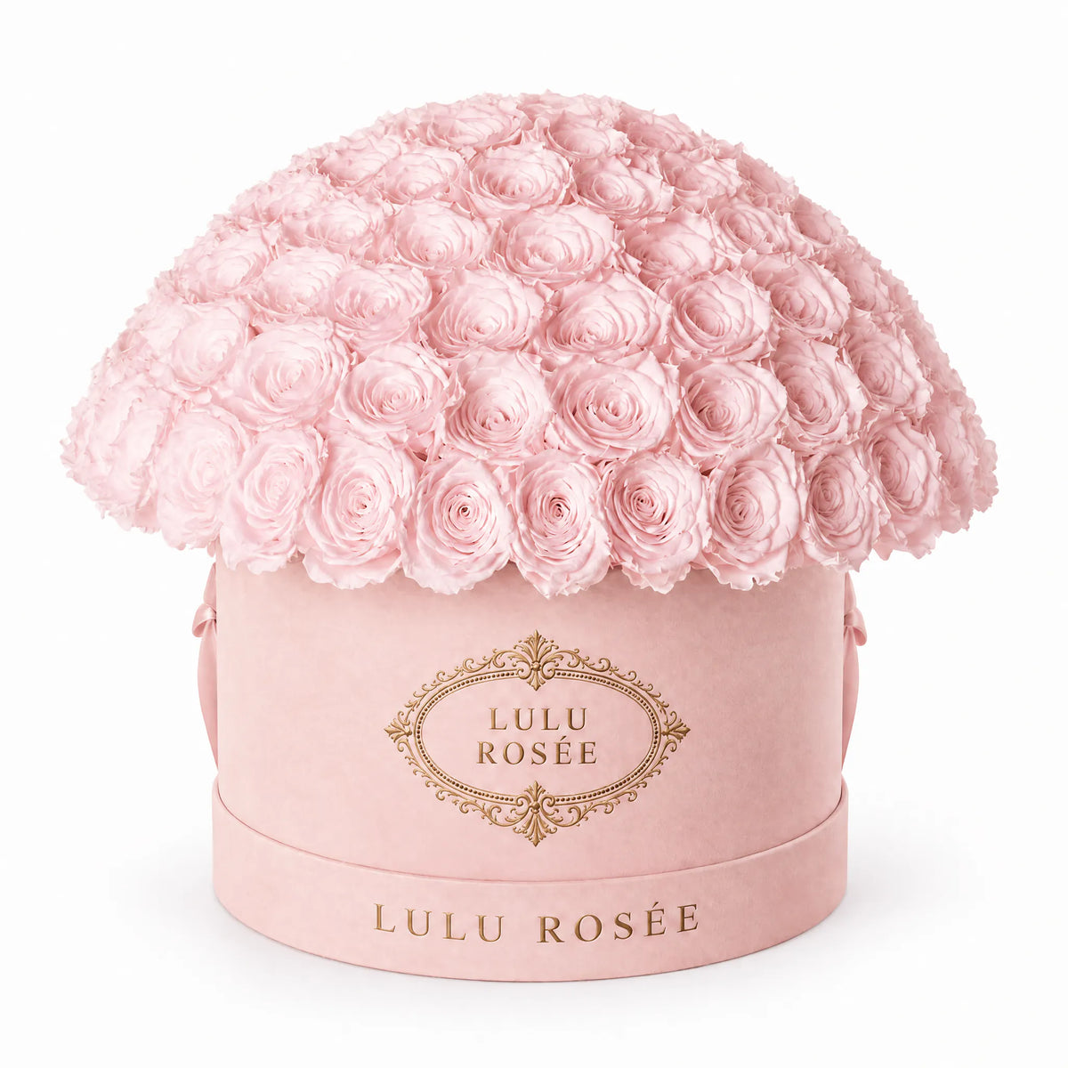 Blush preserved roses arranged in a blush suede LULU ROSÉE Large Le Plein box.