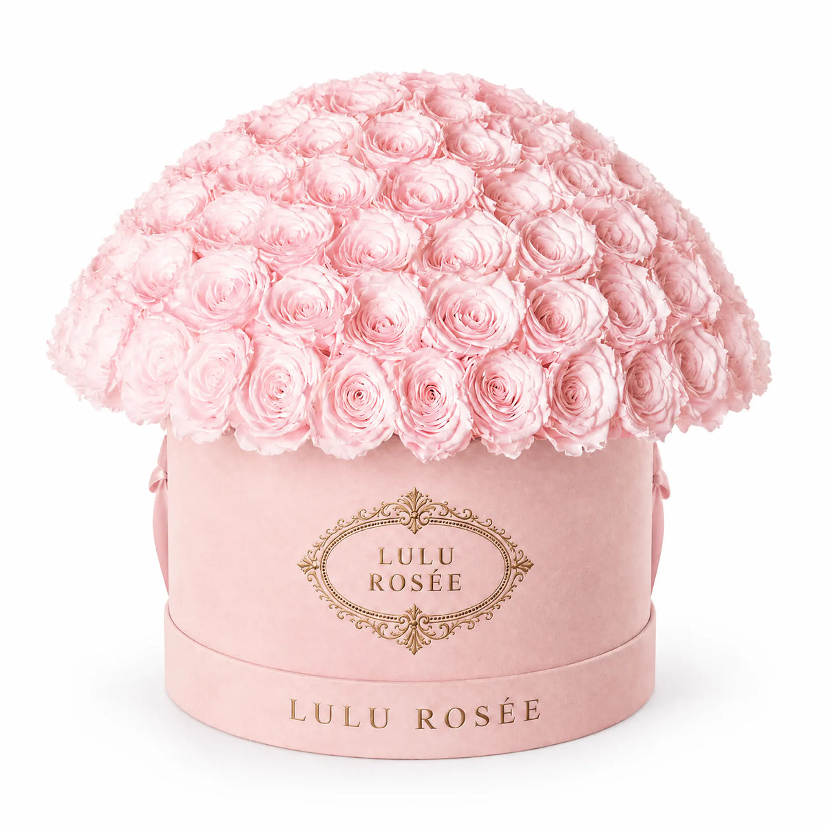 Blush preserved roses in a blush suede LULU ROSÉE Large Le Plein box on a white background.