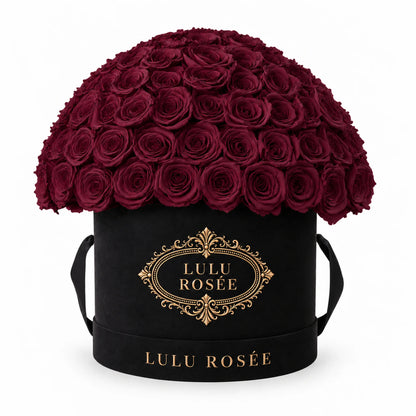 Burgundy preserved roses in a black LULU ROSÉE Large Le Plein box on a white background.