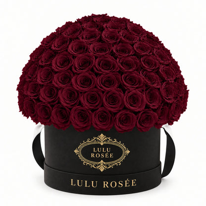 Burgundy preserved roses in a black LULU ROSÉE Large Le Plein box on a white background.