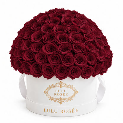 Burgundy preserved roses in a white LULU ROSÉE Large Le Plein box, front view.