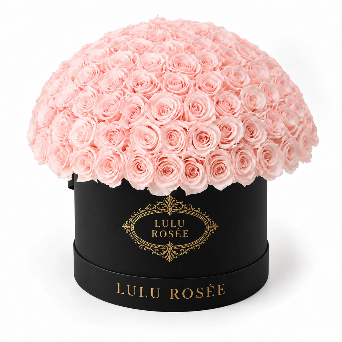 Light pink preserved roses in a black LULU ROSÉE Large Le Plein box on a white background.