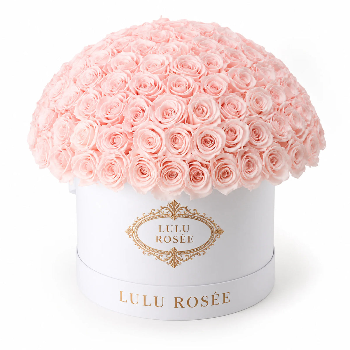 Light pink preserved roses in a white LULU ROSÉE Large Le Plein box on a white background.