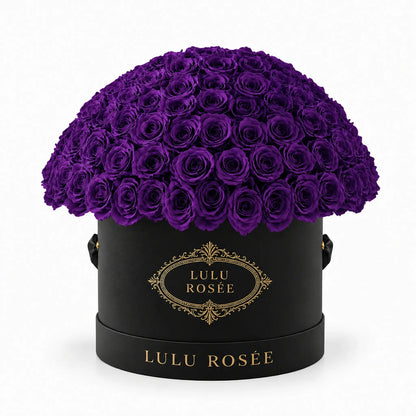 Purple preserved roses in a black LULU ROSÉE Large Le Plein box on a white background.