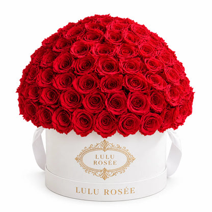 Red preserved roses forming a dome in a white LULU ROSÉE Large Le Plein box.