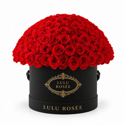 Red preserved roses in a black LULU ROSÉE Large Le Plein box on a white background.