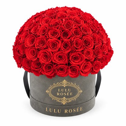 Red preserved roses in a grey suede LULU ROSÉE Large Le Plein box on a white background.