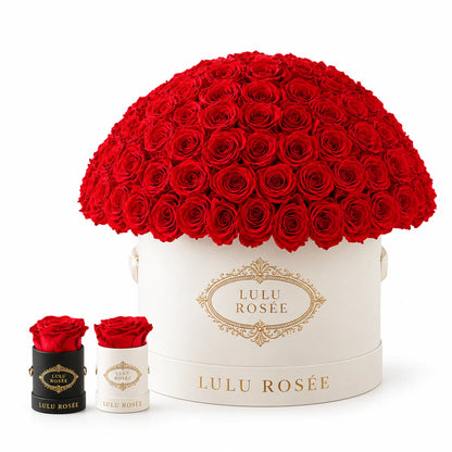 Red preserved roses in a white LULU ROSÉE Large Le Plein box with small gift boxes.