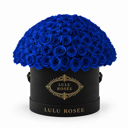 Royal blue preserved roses in a black LULU ROSÉE Large Le Plein box on a white background.