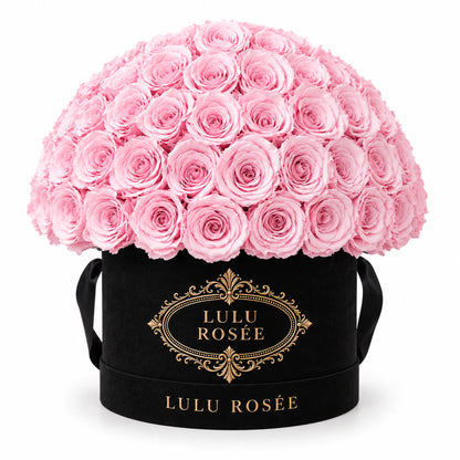 Sweet pink preserved roses in a black suede LULU ROSÉE Large Le Plein box on a white background.