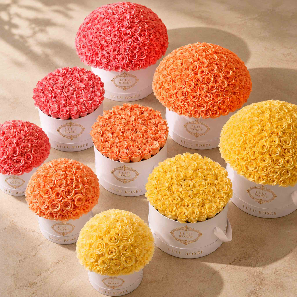 LULU ROSÉE Large Le Plein preserved rose boxes in coral, orange, and yellow tones under warm light.