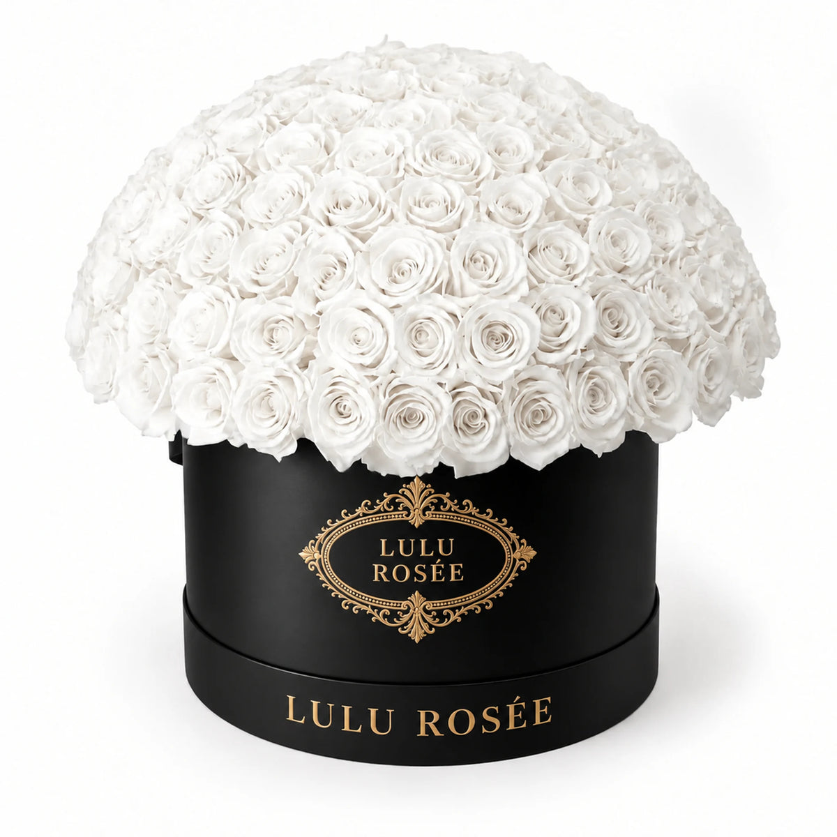 White preserved roses in a black LULU ROSÉE Large Le Plein box on a white background.