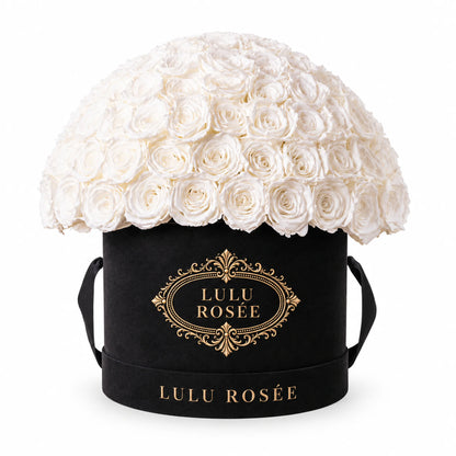 White preserved roses in a black suede LULU ROSÉE Large Le Plein box on a white background.