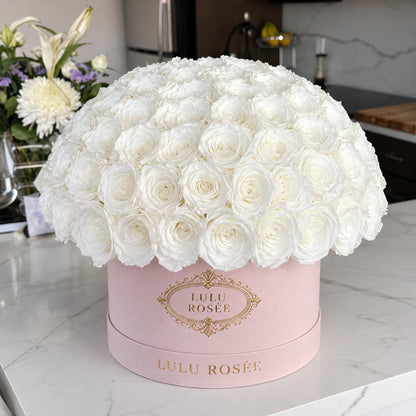 White preserved roses in a blush LULU ROSÉE Large Le Plein box in an elegant room.