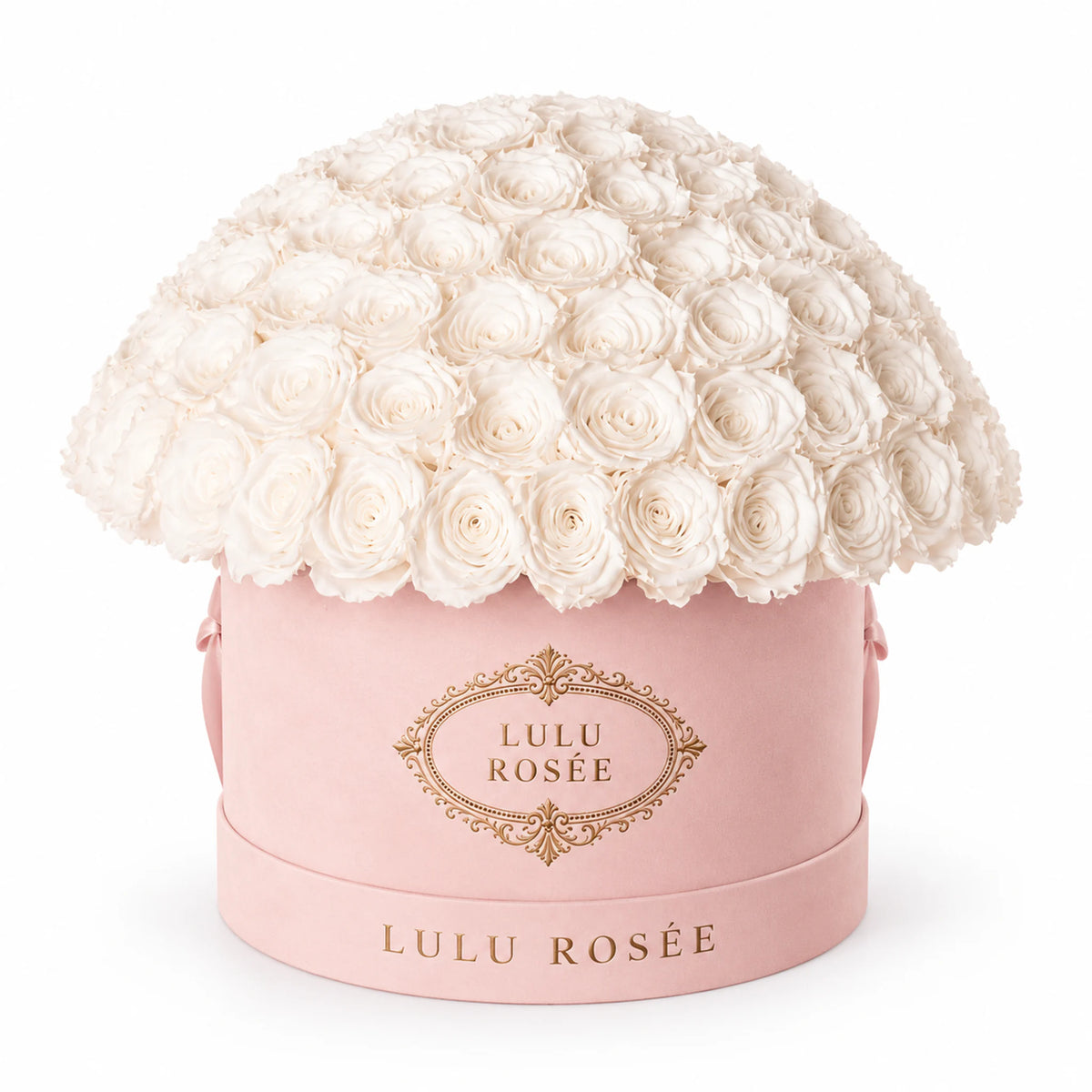 White preserved roses in a blush suede LULU ROSÉE Large Le Plein box on a white background.