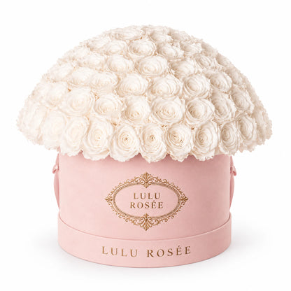 White preserved roses in a blush suede LULU ROSÉE Large Le Plein box on a white background.