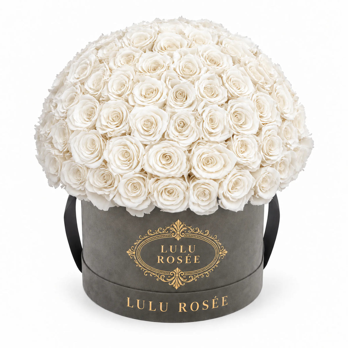 White preserved roses in a grey suede LULU ROSÉE Large Le Plein box on a white background.