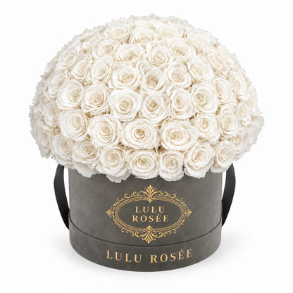 White preserved roses in a grey suede LULU ROSÉE Large Le Plein box on a white background.