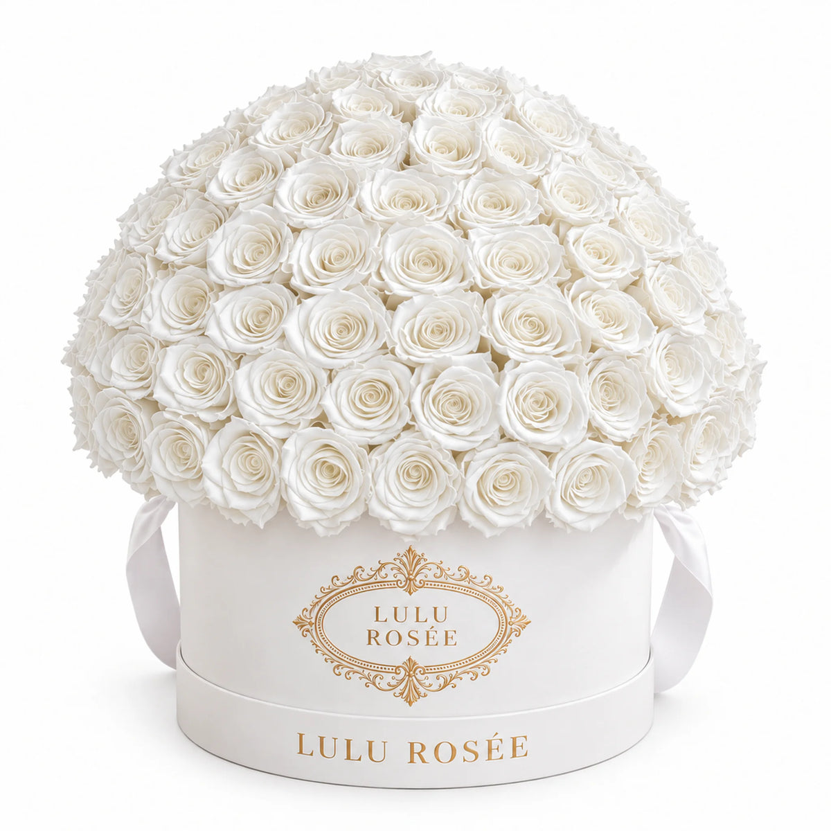 White preserved roses in a white LULU ROSÉE Large Le Plein box, front view.