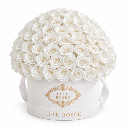 White preserved roses in a white LULU ROSÉE Large Le Plein box, front view.