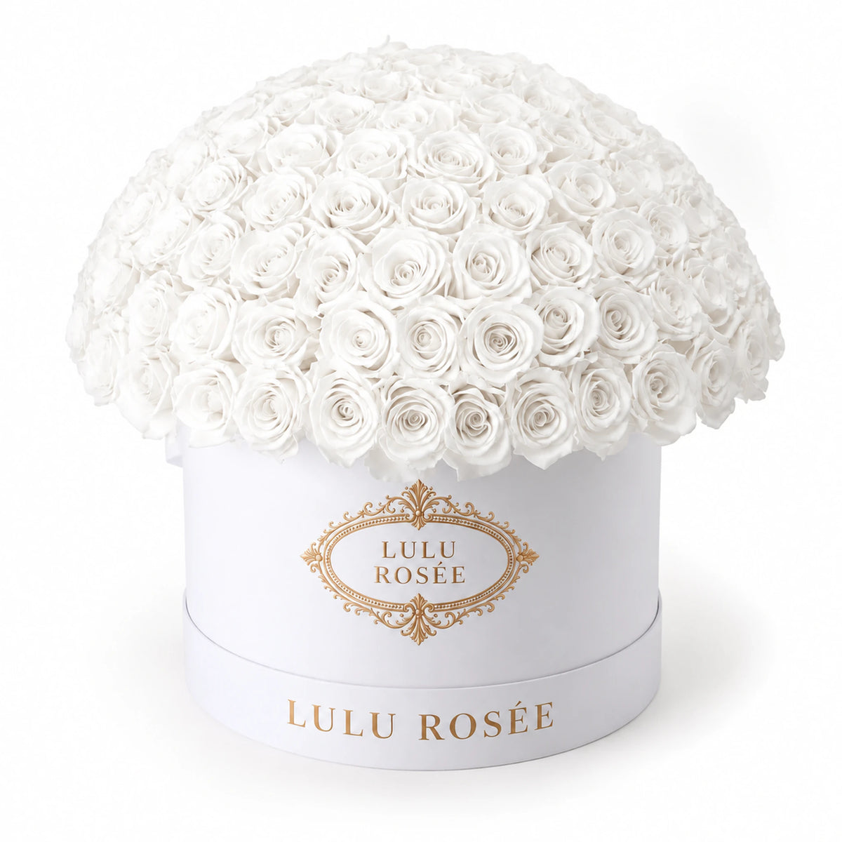 White preserved roses in a white LULU ROSÉE Large Le Plein box on a white background.