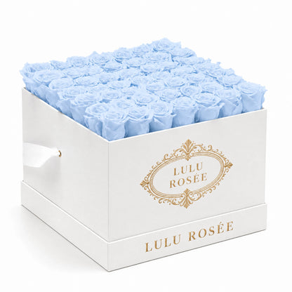 Baby blue preserved roses in a white classic LULU ROSÉE large square box on a white background.