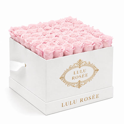 Light pink preserved roses fill a white classic LULU ROSÉE large square box on a white background.
