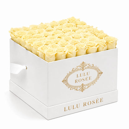 Light yellow preserved roses in a white classic LULU ROSÉE large square box on a white background.