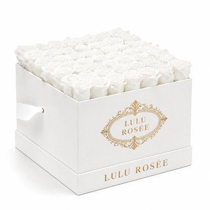 White preserved roses fill a white classic LULU ROSÉE large square rose box against a clean white background.