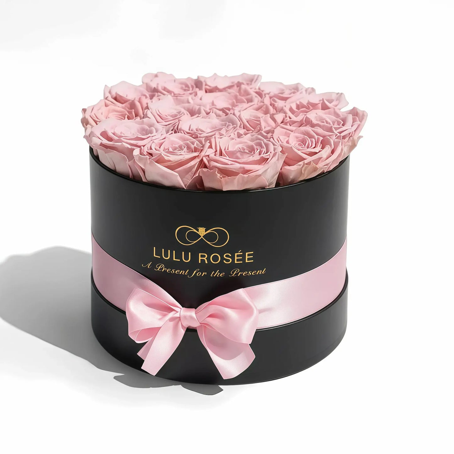 LULU ROSÉE medium round box light pink roses black classic box on white background