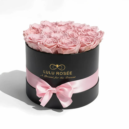 LULU ROSÉE medium round box light pink roses black classic box on white background