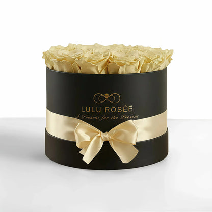 LULU ROSÉE medium round box light yellow roses black classic box on white background