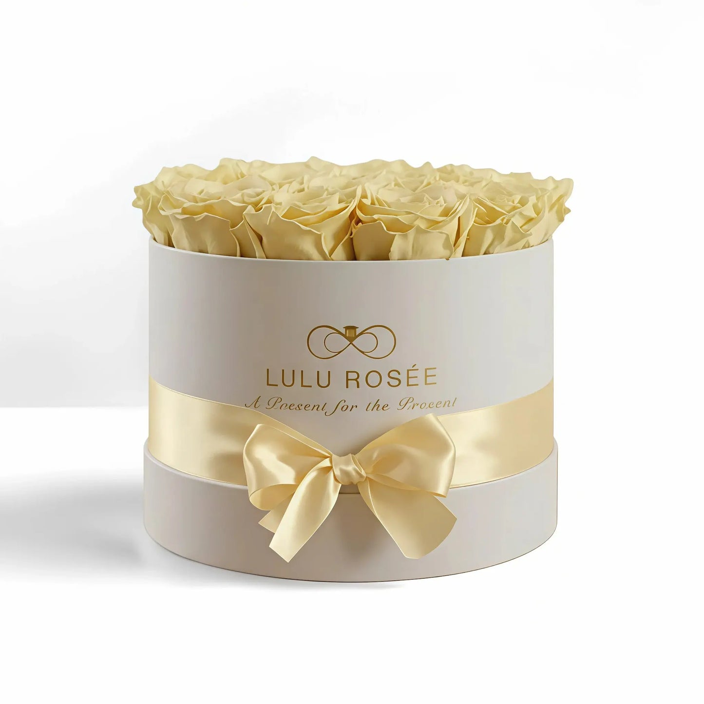 LULU ROSÉE medium round box light yellow roses white classic box on white background