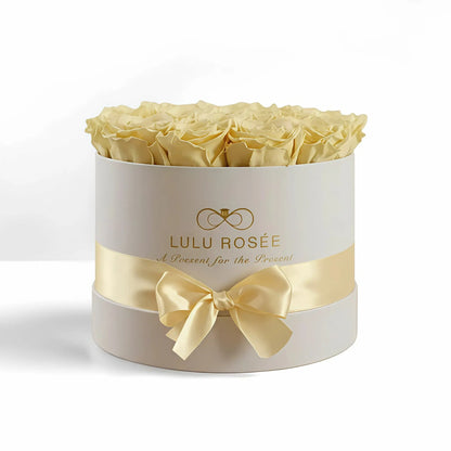 LULU ROSÉE medium round box light yellow roses white classic box on white background