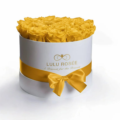 LULU ROSÉE medium round box yellow roses white classic box on white background