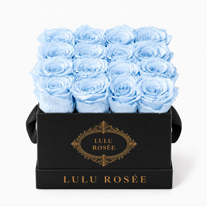 Baby blue preserved roses in a black classic LULU ROSÉE medium square box on a white background.
