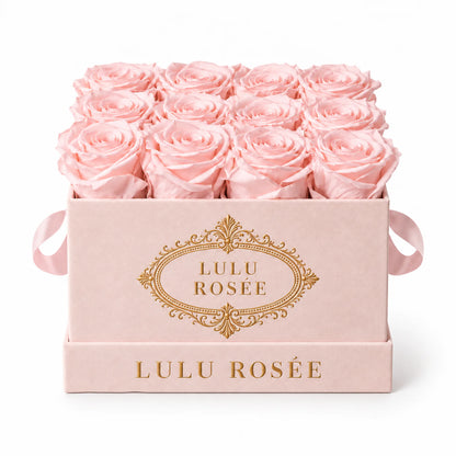 Blush pink preserved roses in a blush suede LULU ROSÉE medium square box on a white background.